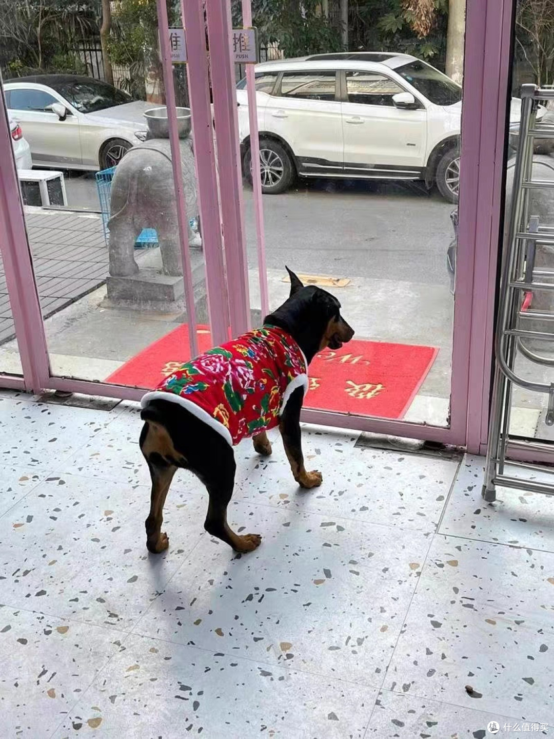 狗狗衣服