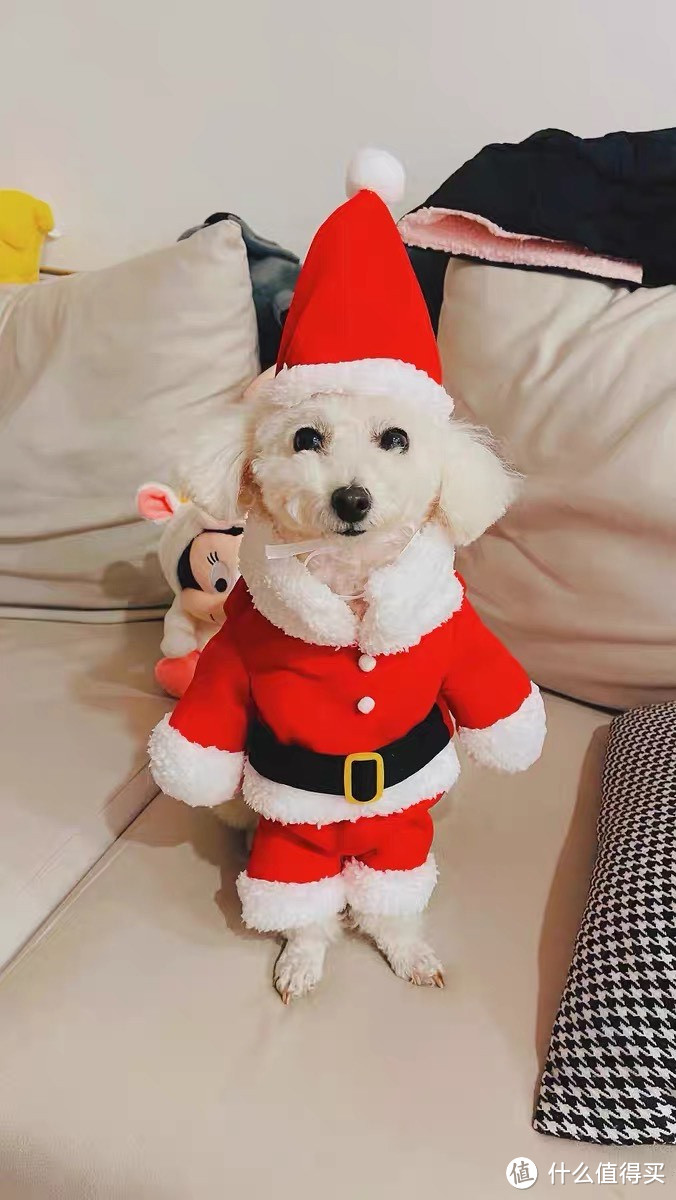 宠物也要过圣诞！狗狗圣诞老人衣服，让TA成为最萌圣诞狗狗
