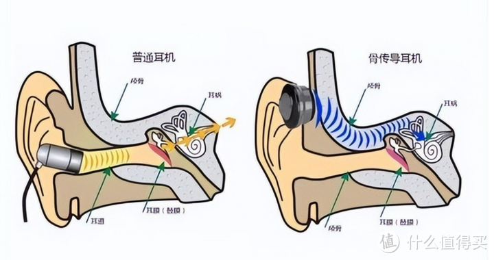 为啥美国卖的好的骨传导耳机都是中国品牌？韶音耳机全球领先？