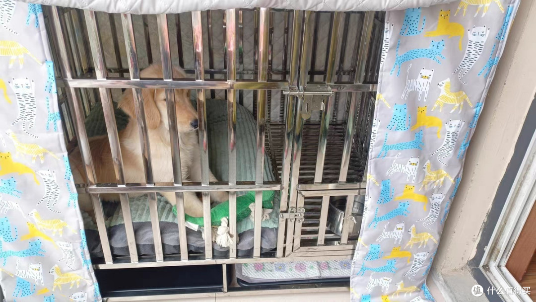 贝尼宠 狗笼子大型犬