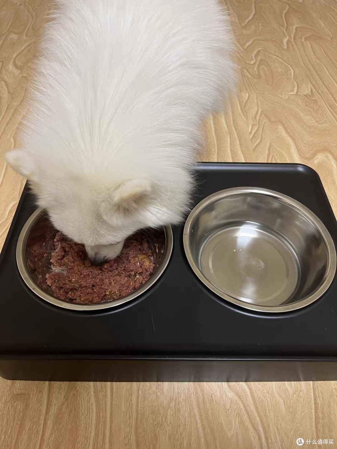 狗狗的豪华餐具架,守护它的优雅进食时光!