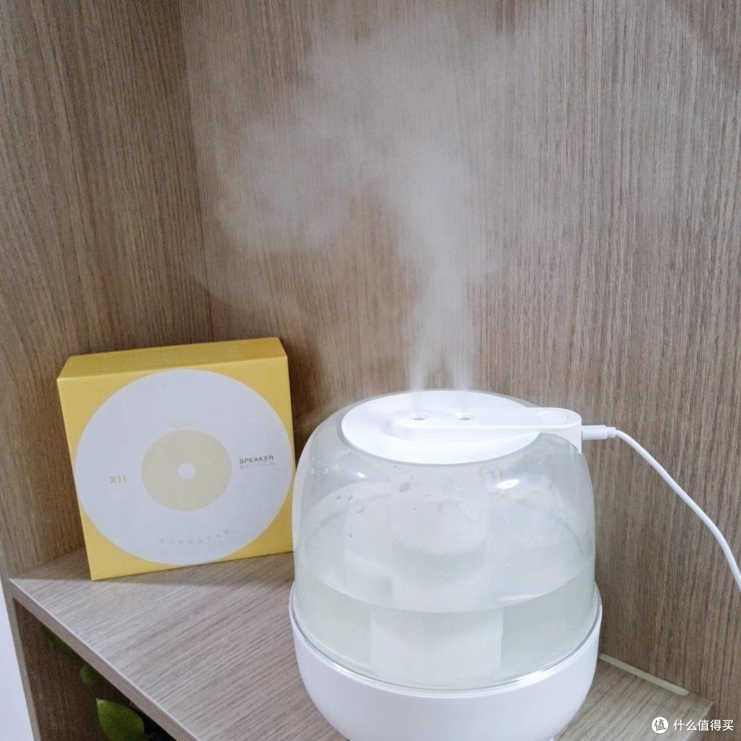 小熊加湿器