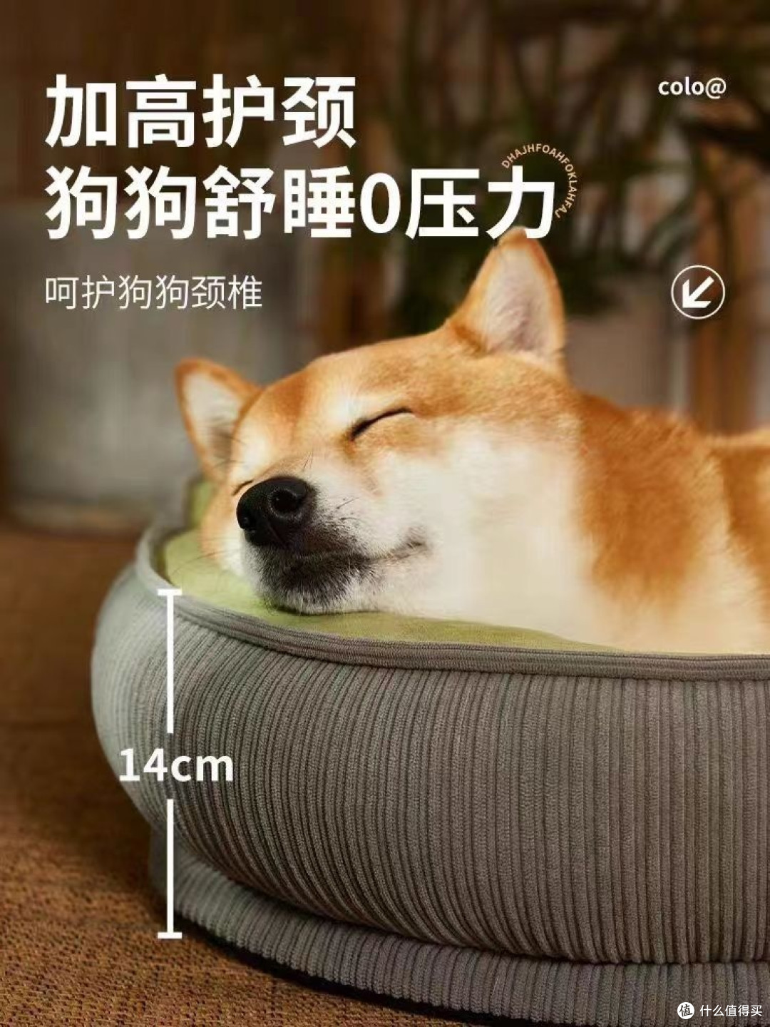 给狗狗一个舒适的狗窝