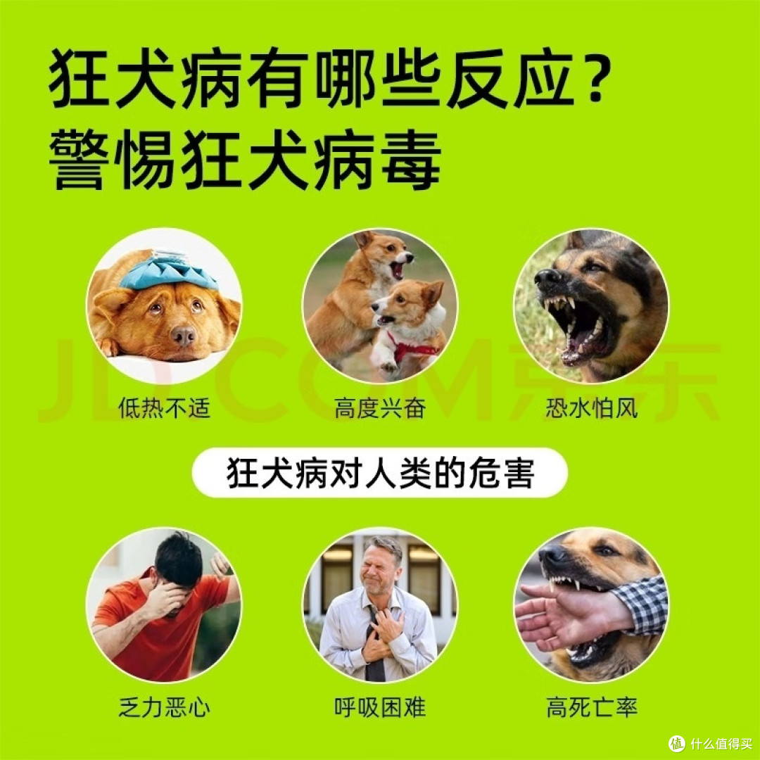 养宠物真是一个很慎重的决定。