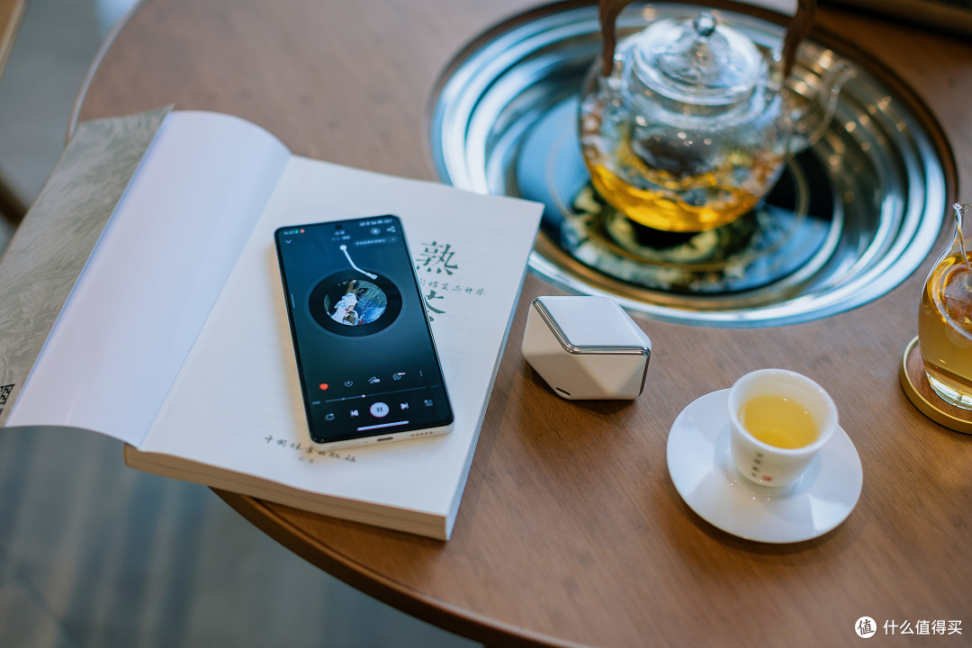 新发现!音质细腻到飞起的蓝牙耳机!HIFIMAN Svanar Wireless Jr 天鹅真无线。