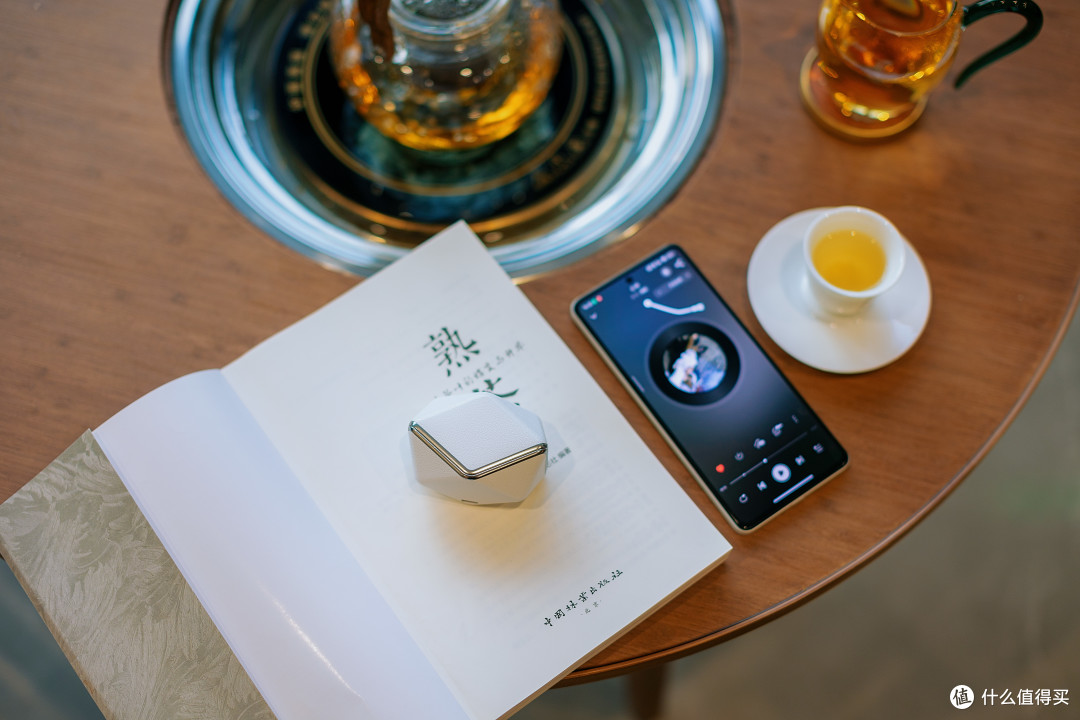新发现!音质细腻到飞起的蓝牙耳机!HIFIMAN Svanar Wireless Jr 天鹅真无线。