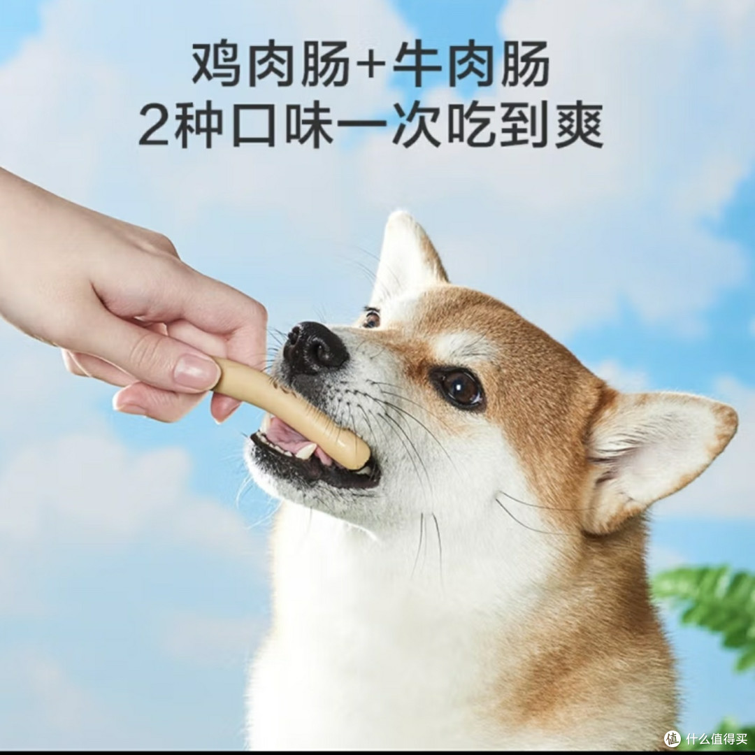 狗狗:给我一根火腿肠,我就跟你走!