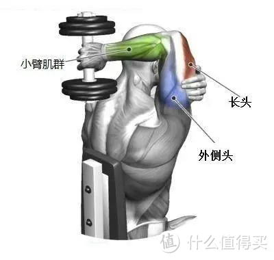 从0搭建居家迷你健身房 力量有氧二合一健身角