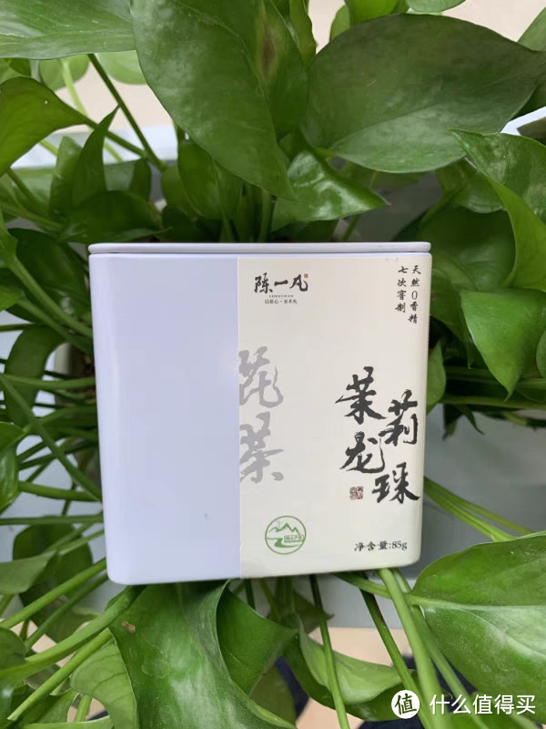 茉莉花茶茉莉龙珠2023新茶特级浓香型绿茶叶散装罐