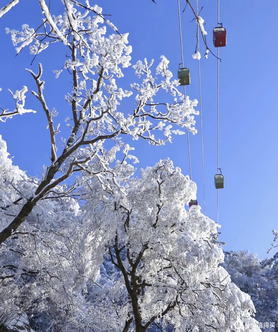 老君山，冬季仙境？