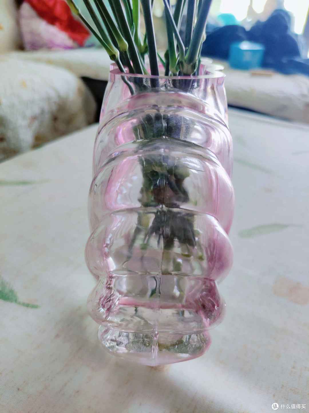 提升日常生活品质,DOIY贝壳花瓶+鱼形叠杯为你带来不一样的美感享受