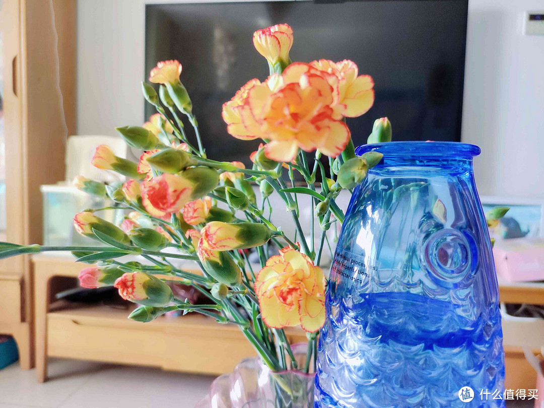 提升日常生活品质，DOIY贝壳花瓶+鱼形叠杯为你带来不一样的美感享受