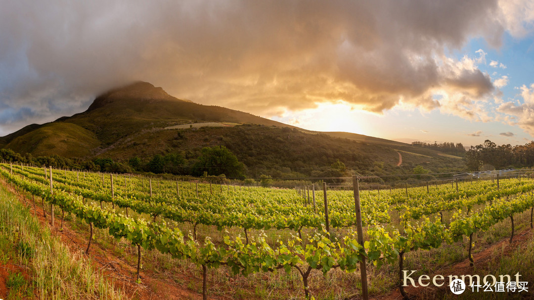 南非科尔蒙特酒庄：让葡萄酒爱好者沉醉的酒香之旅