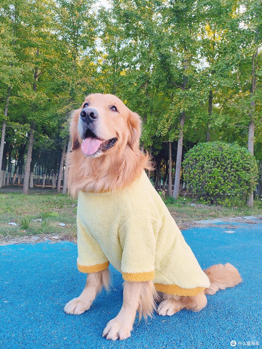 给狗狗买的过冬衣物