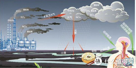 超真实测评：空气净化器怎么选？颜值和实力并存--舒乐氏空气净化器A10测评