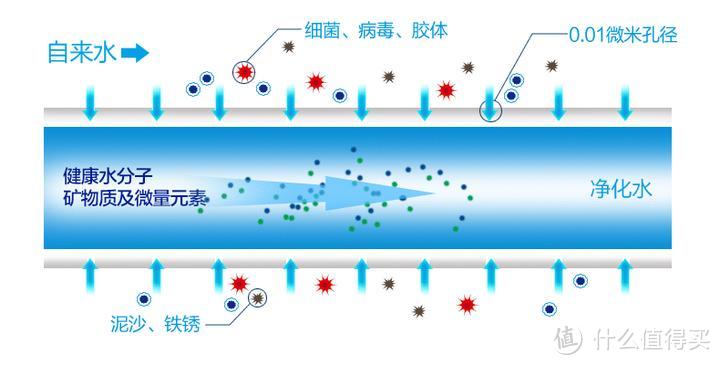 2023年台式净水器怎么选？净水器推荐：飞利浦、小米、352、松下、沁园、IAM、海尔净水器哪个牌子好