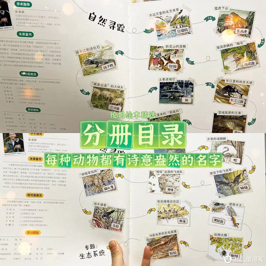 |很高兴认识你呀~中国动物~|