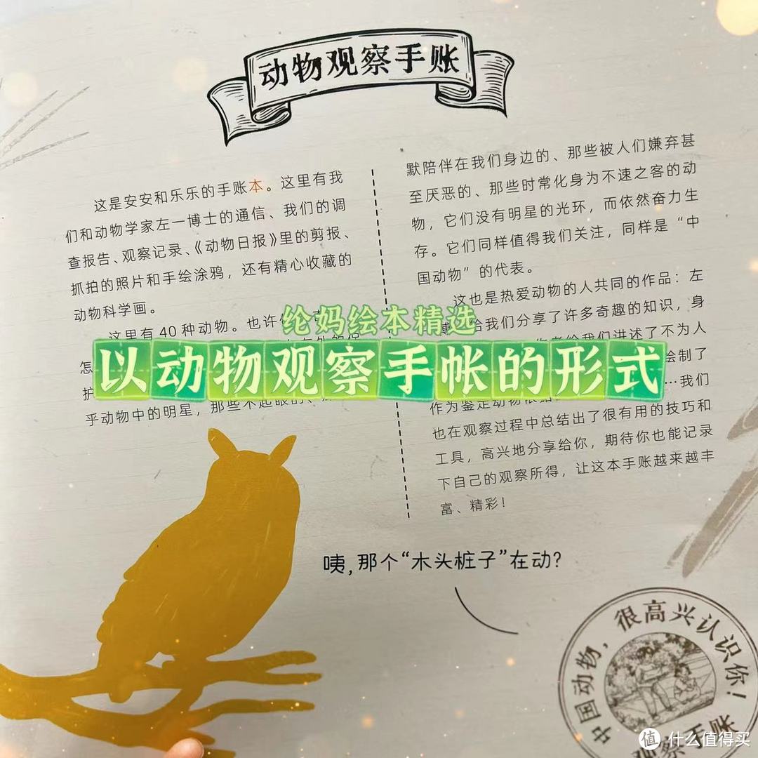 |很高兴认识你呀~中国动物~|