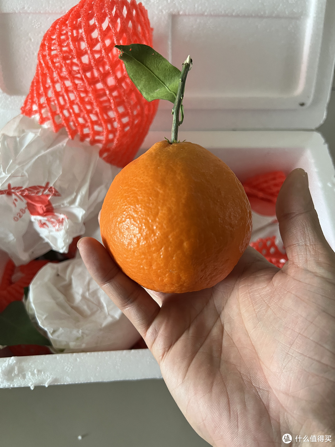 网上买的果冻橙爱媛38号看看怎么样？