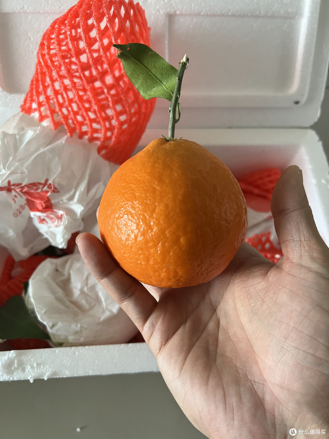 网上买的果冻橙爱媛38号看看怎么样?