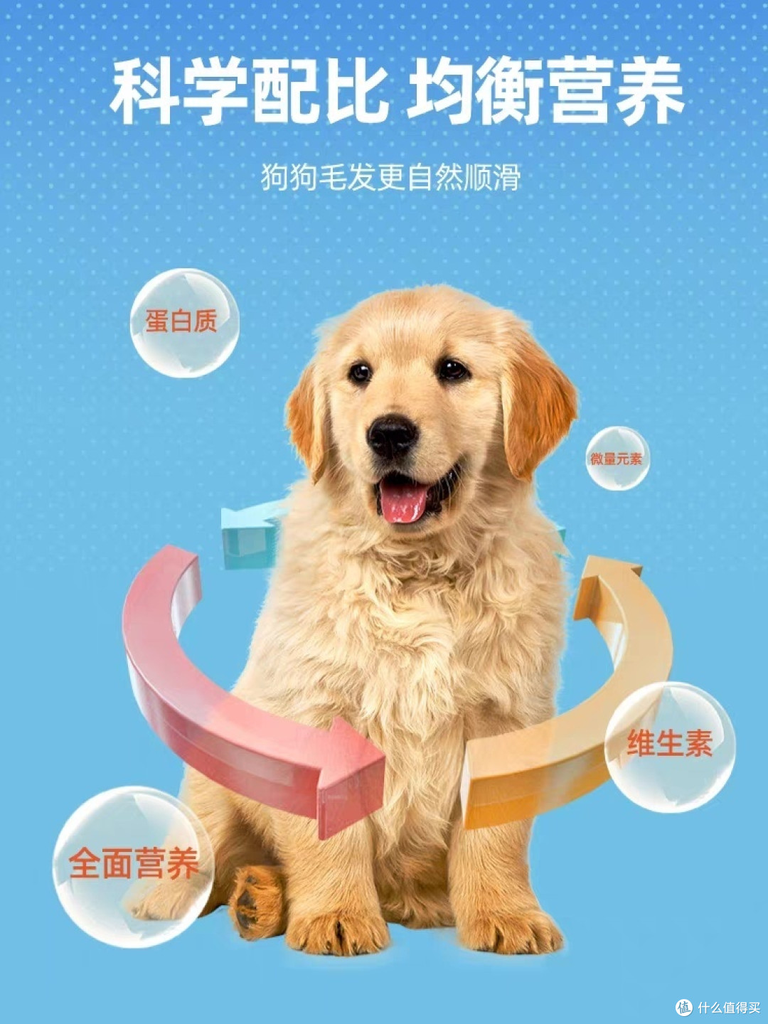 【爆款】营养丰富的狗粮,让爱宠健康成长!