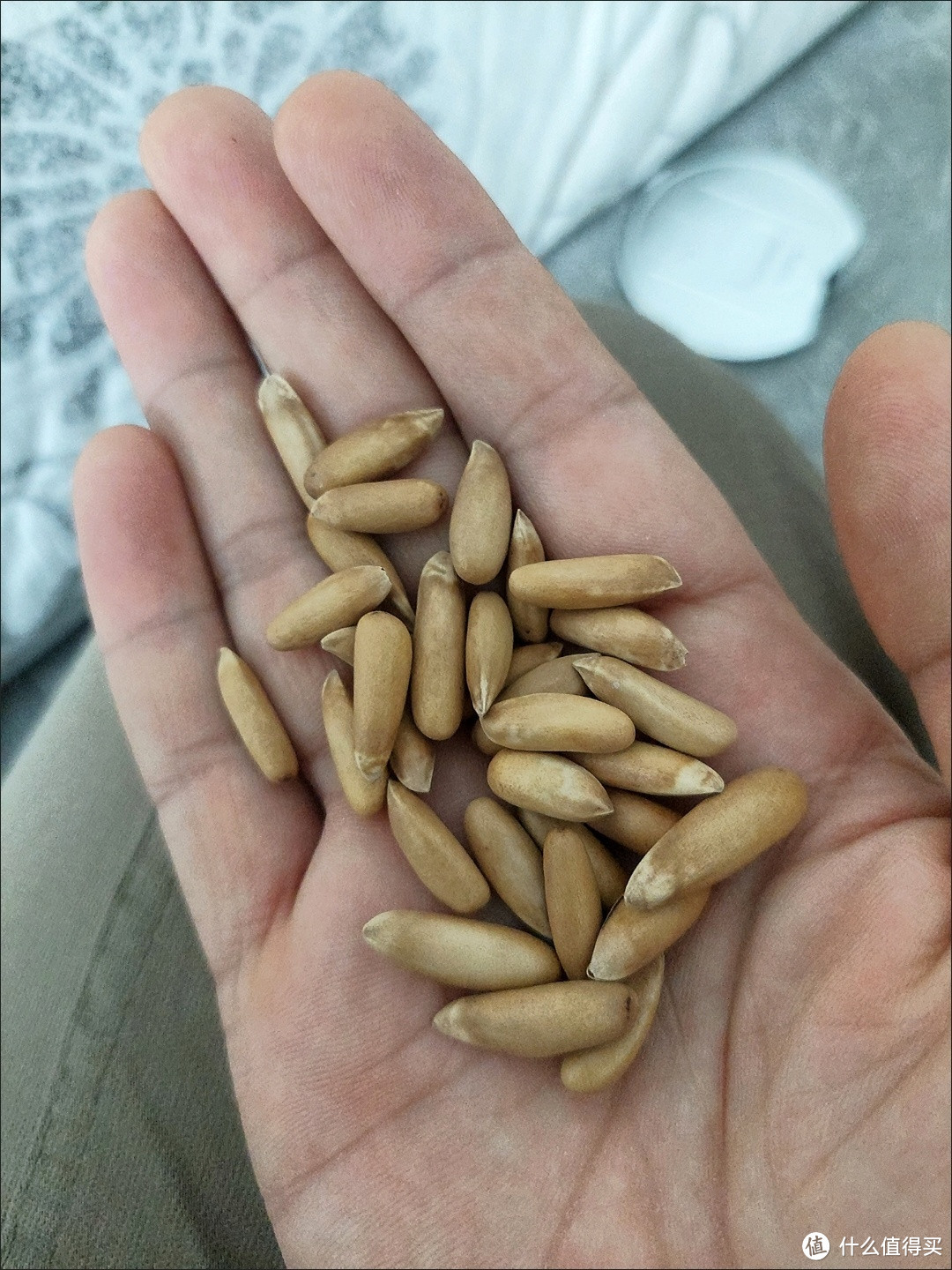 超值好货购后晒,美味巴西松子