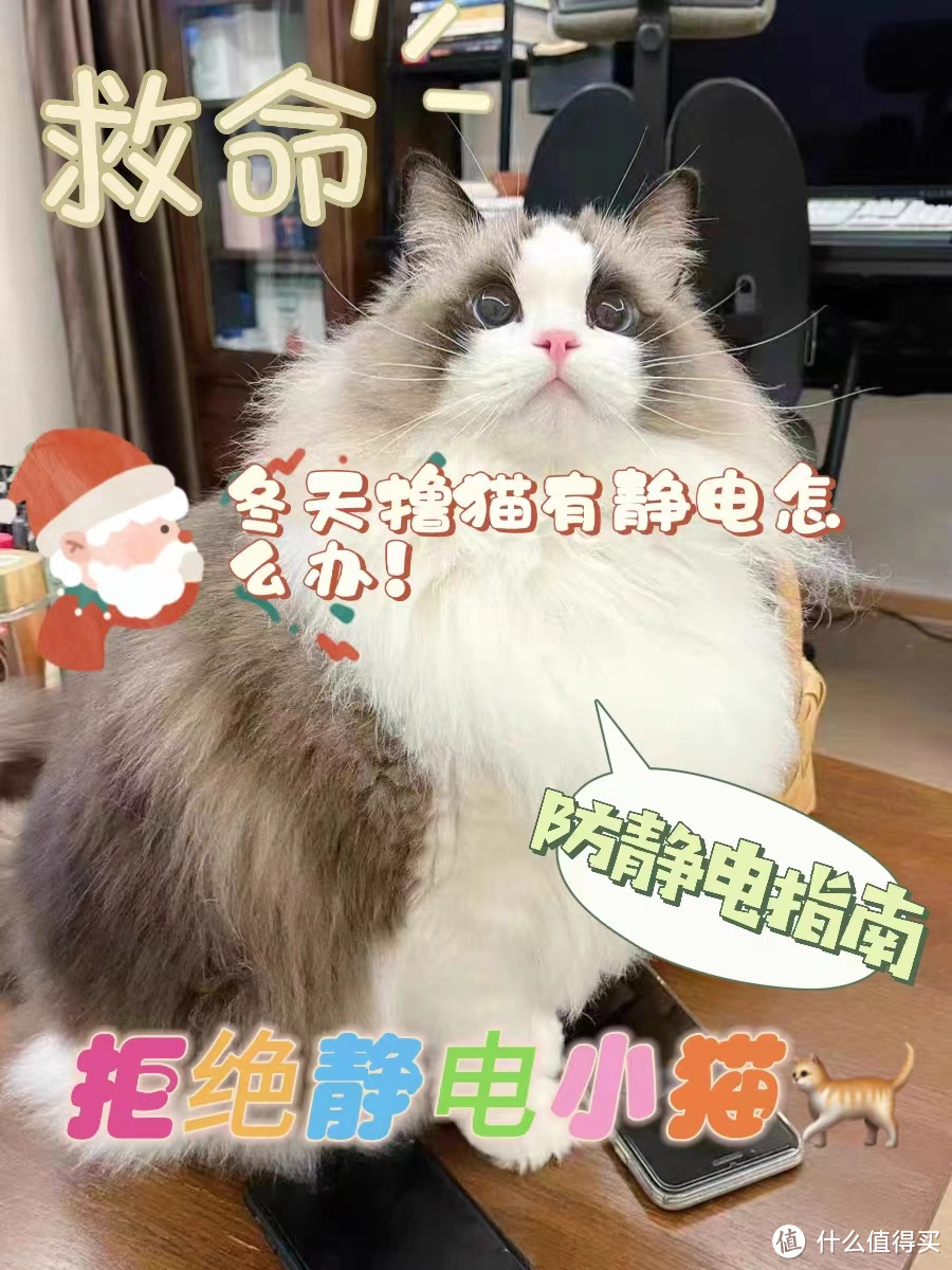 冬天猫咪炸毛？可不要忽视静电带来的危害