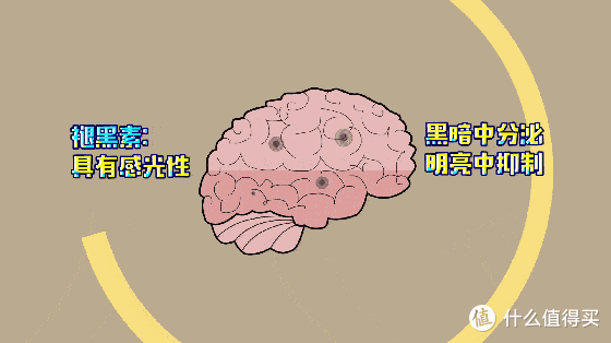 血管不好的人,这7件事劝你别做,暗藏风险!