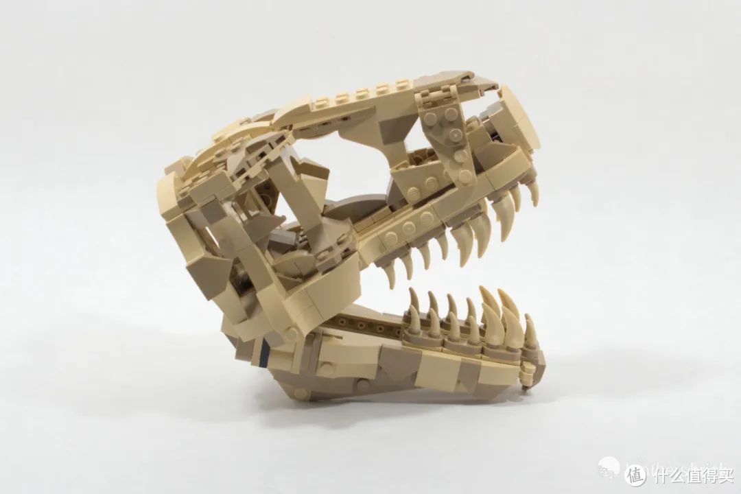 乐高侏罗纪世界76964恐龙化石：霸王龙头骨开箱评测