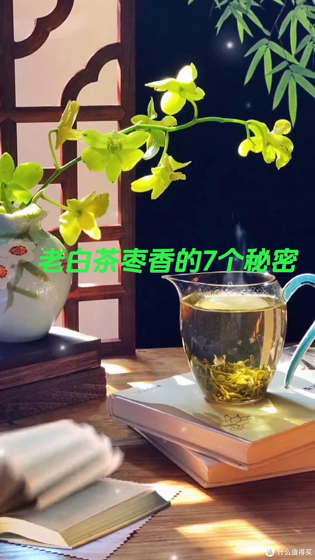 四川茶博会 老白茶的枣香 可能你都不知道的7个秘密