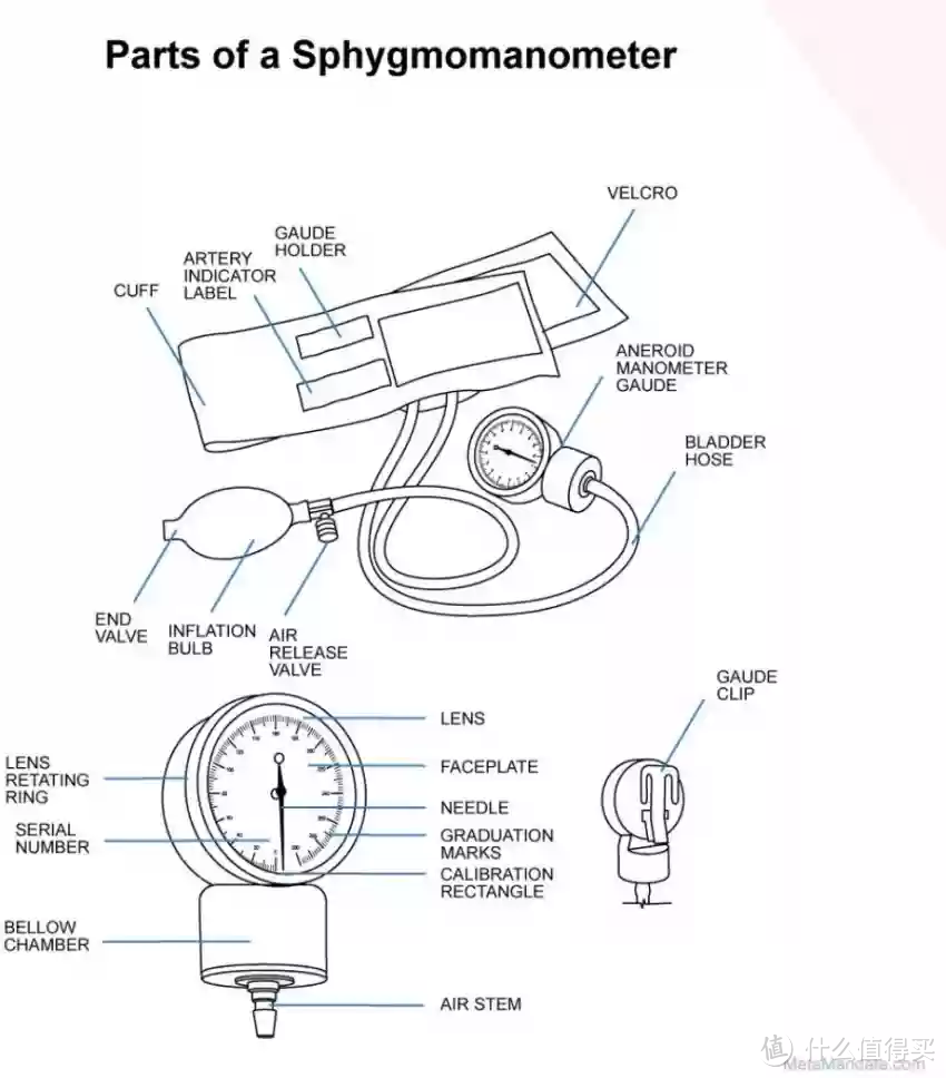 在家也能准确测量血压！家用血压计选购指南