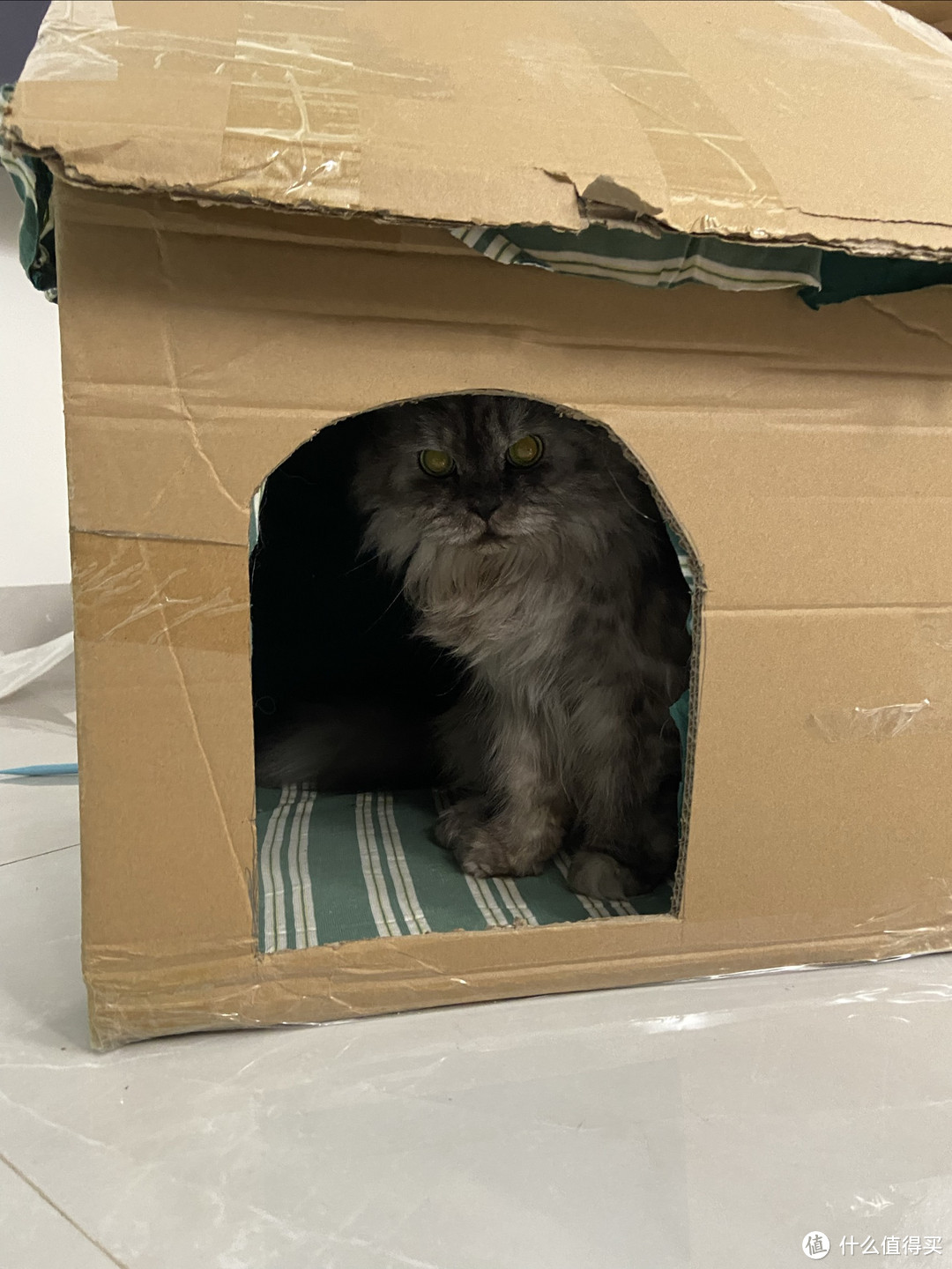 自己动手给猫猫做个纸箱猫窝