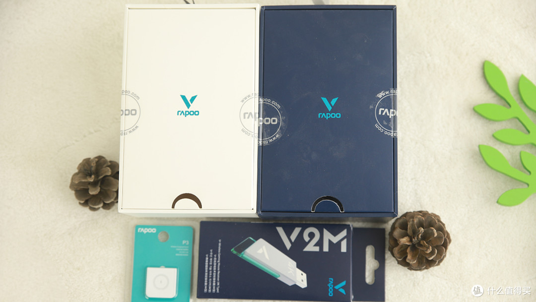 轻量持久的双生儿,适配中大小手型,雷柏VT9Pro和雷柏VT9Pro mini鼠标评测