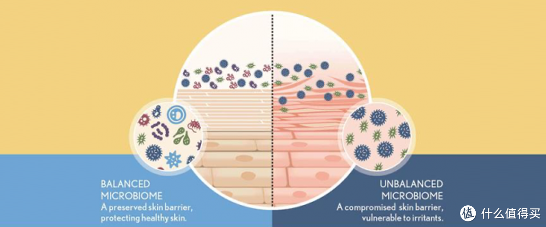 FOUSU/肤素科技 | 皮肤微生态失衡会导致什么问题？
