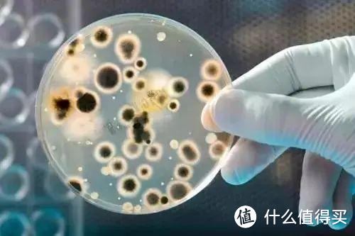 惊！一条抹布5000亿细菌！吸油不挂油的抗菌洗碗布是不是厨房好物