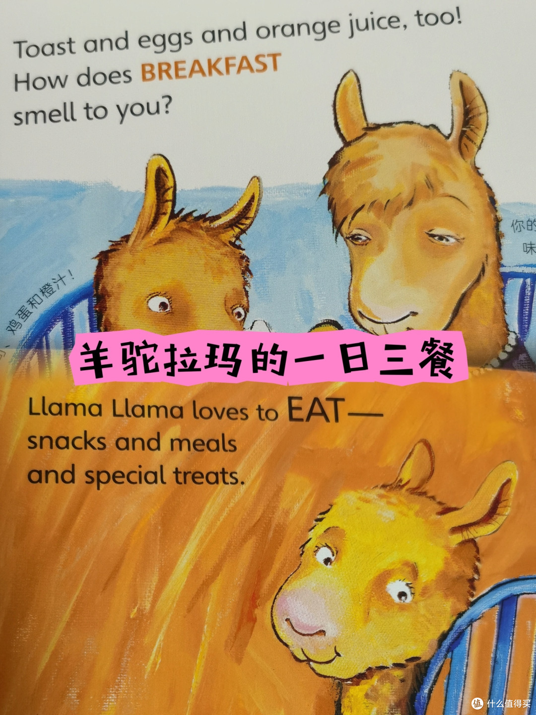 这本海豚童书带来的点读版《羊驼拉玛触感玩具书》,英语启蒙必收藏