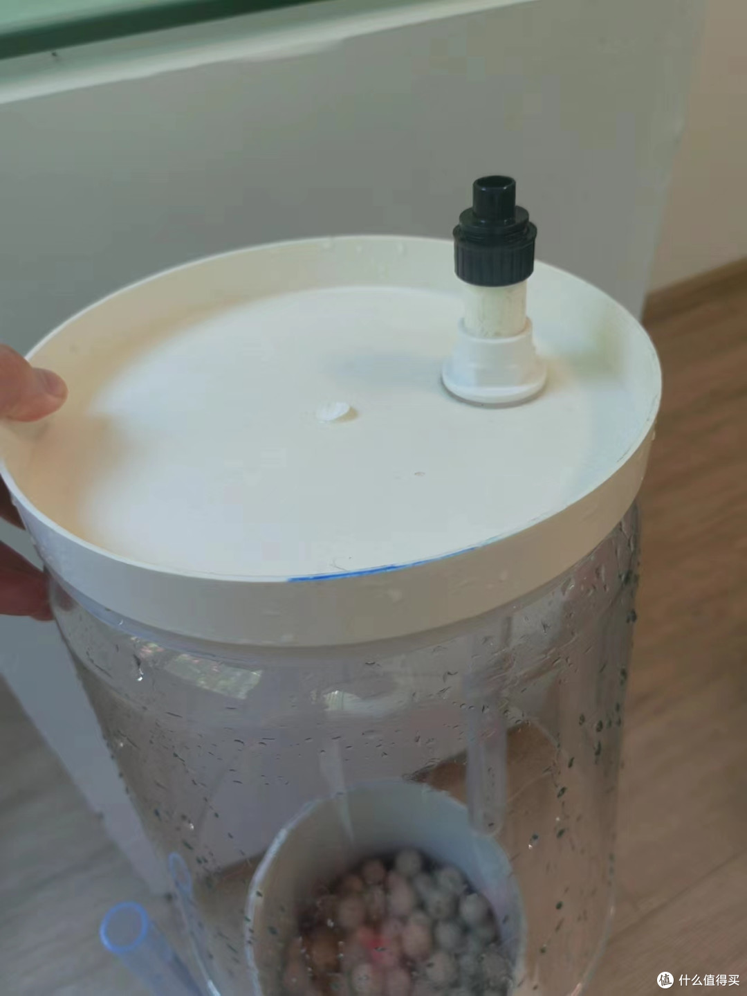 应值友要求，把水排了鱼捞起来拍照片，这是缸底结构