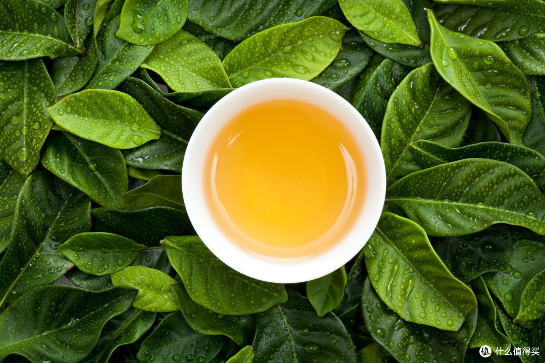 四川茶博会 不好的茶千万种，好茶却相同