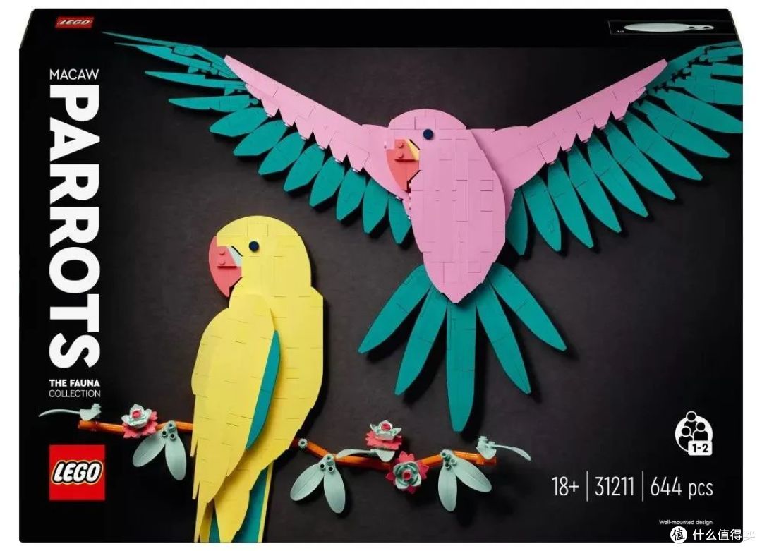 鹦鹉 英文 怎么 念 (99) 사진