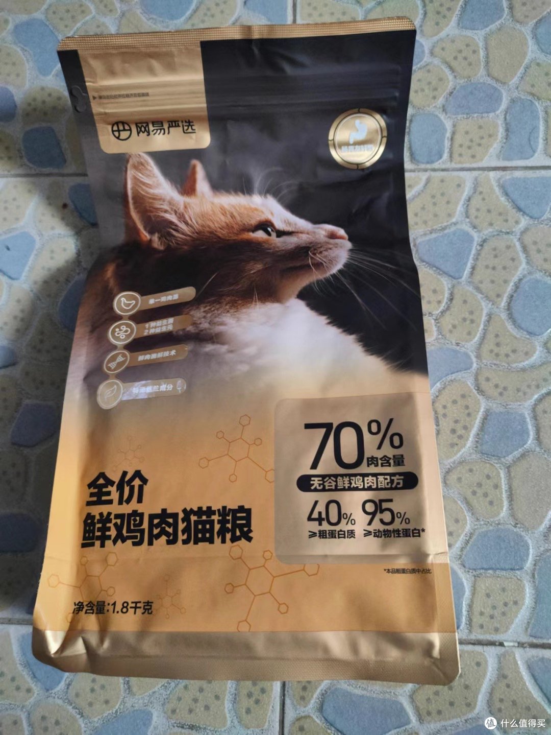宠物年货:今年最开心的决定就是收养了它,欢迎我的小宝贝