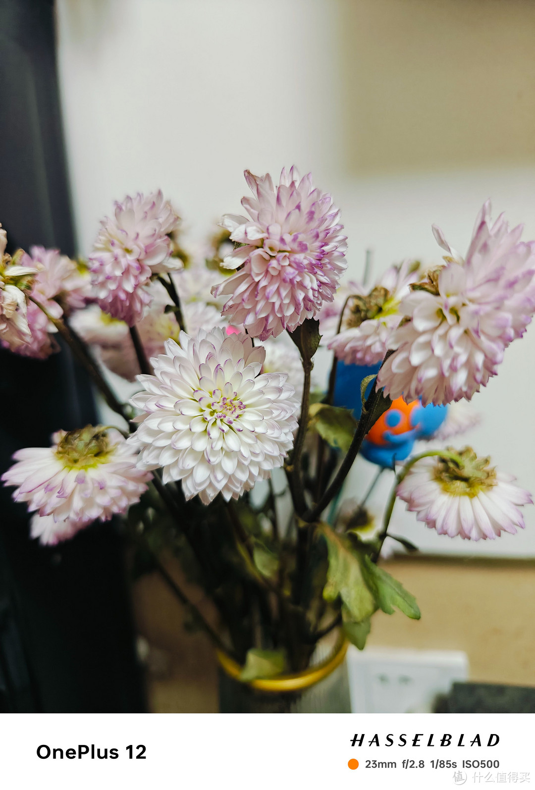 千呼万唤始出来,一加12测评—硬件篇
