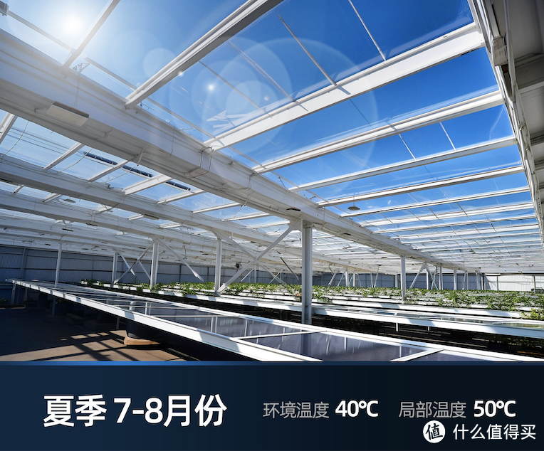 上海三思立体育苗系统Vertical X打造“不见光”人工农场