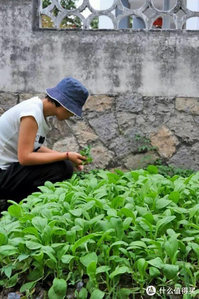 浙江小姑娘,花了2年,将老房子改造成别墅,里面的庭院美哭了我