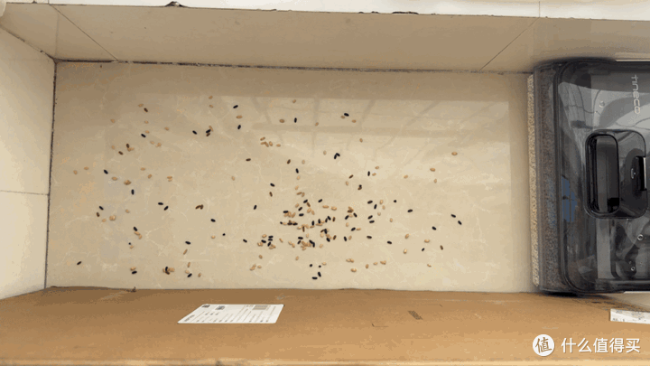 新品大爆料：添可精灵可躺平洗地机到底升级了什么？躺平、速干还质保3年，你敢信？