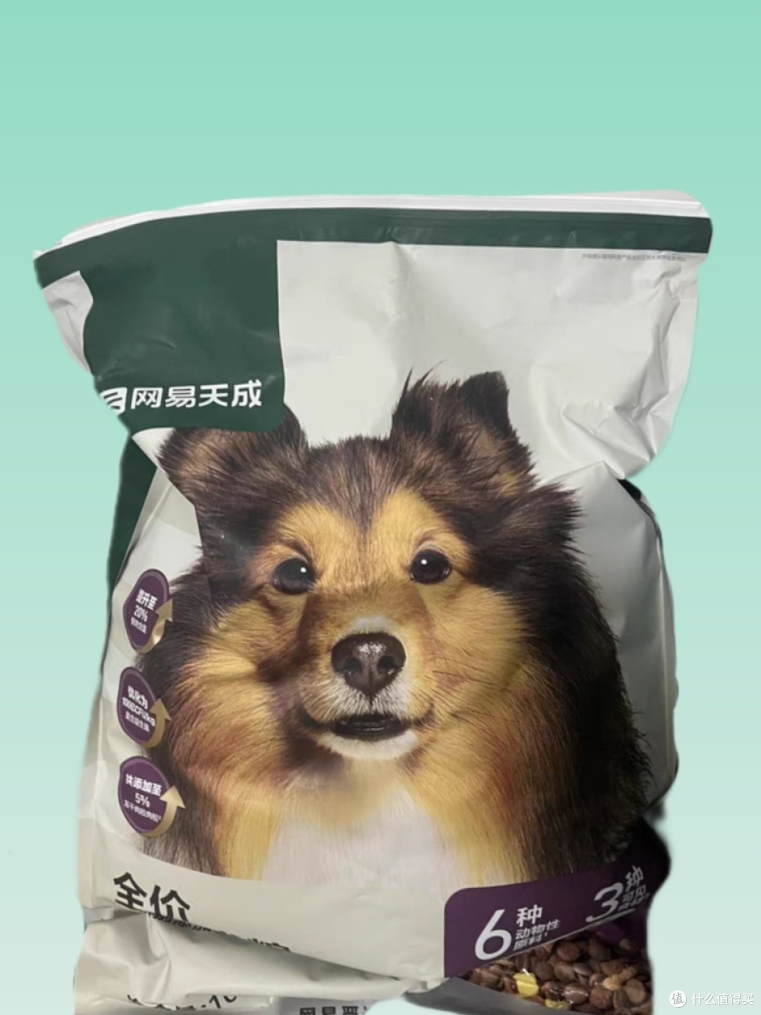 给狗狗准备的年货食品分享
