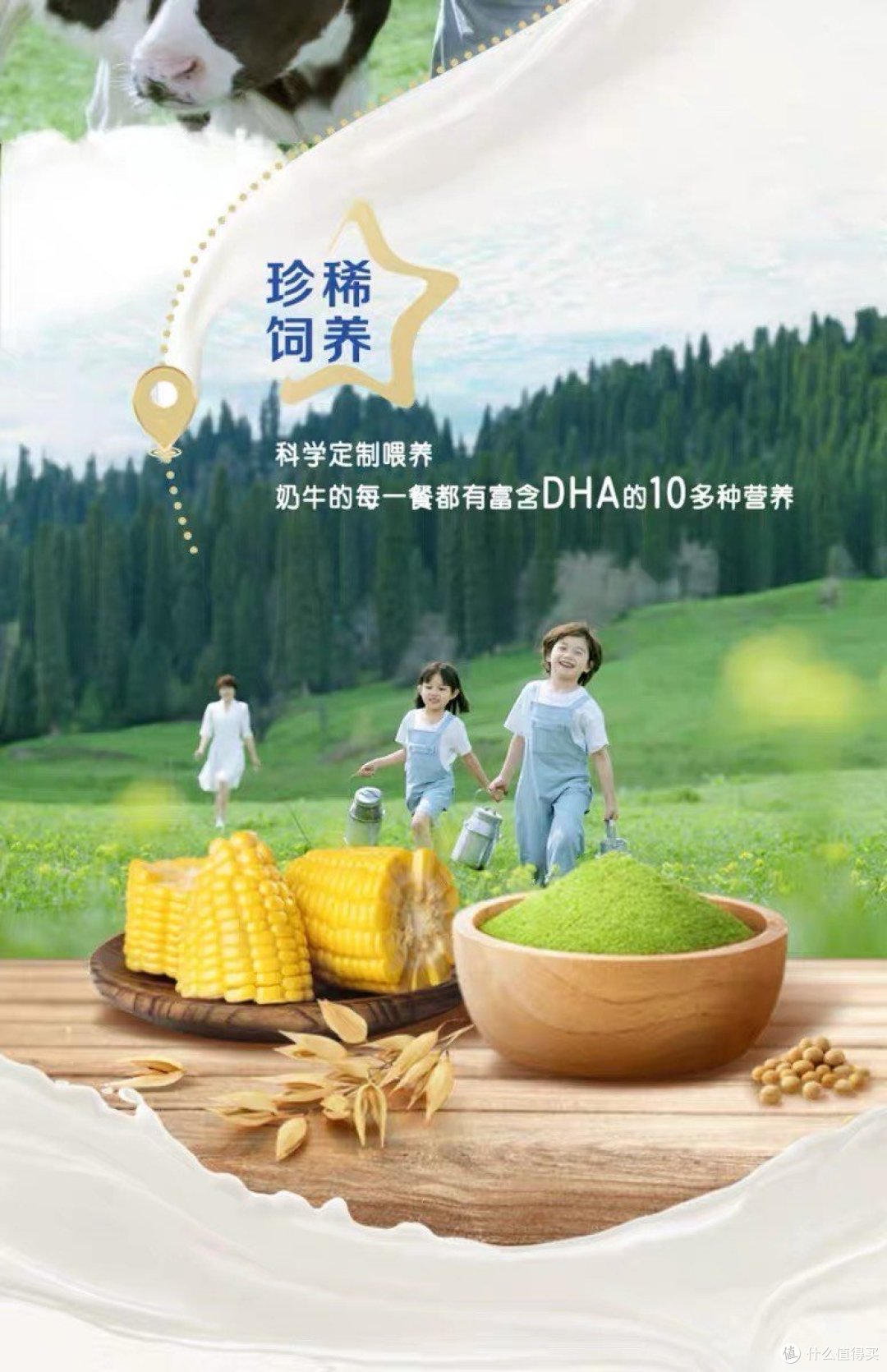 奶源地决定奶制品品质,奶牛品种决定营养和口感,探秘蒙牛未来星双原生纯牛奶背后的故事
