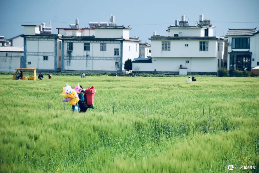 再见!下雪了,我去这里过个春天再回