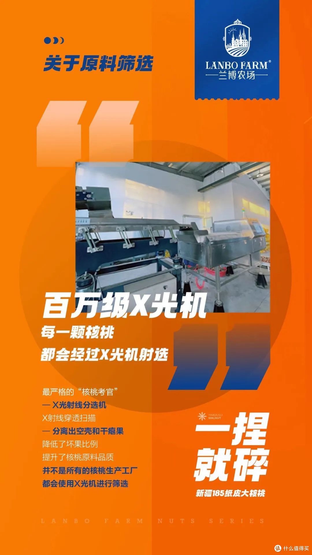 纸皮核桃轻松剥,营养美味全家享!