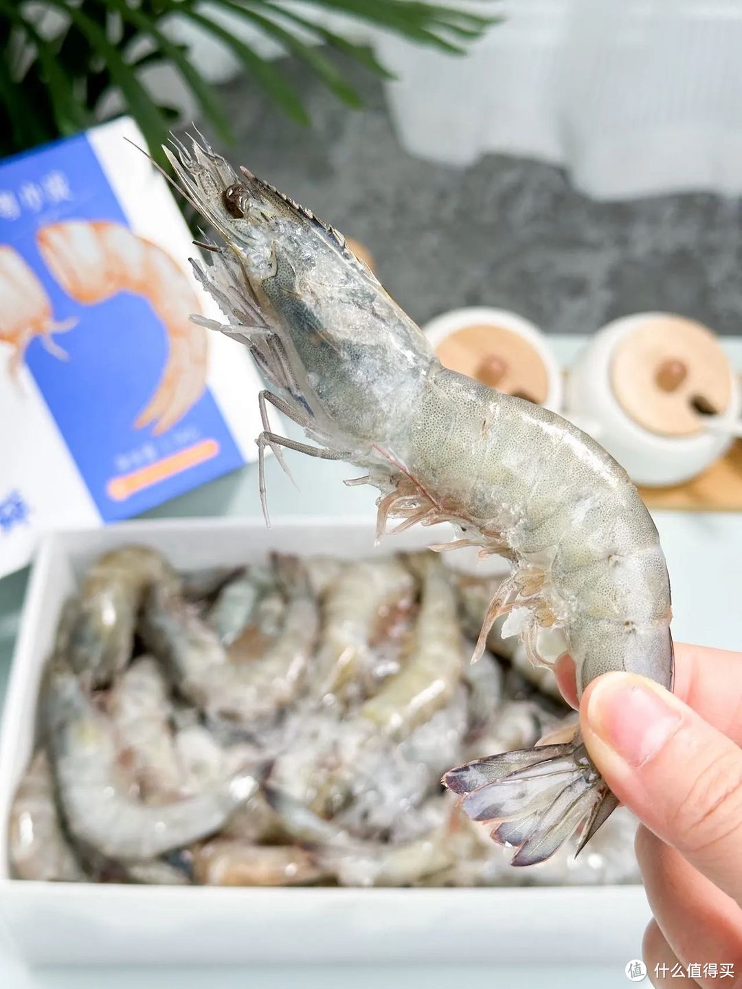 来自中国湛江养殖大虾，虾体个个肥厚，肉质紧实Q弹！