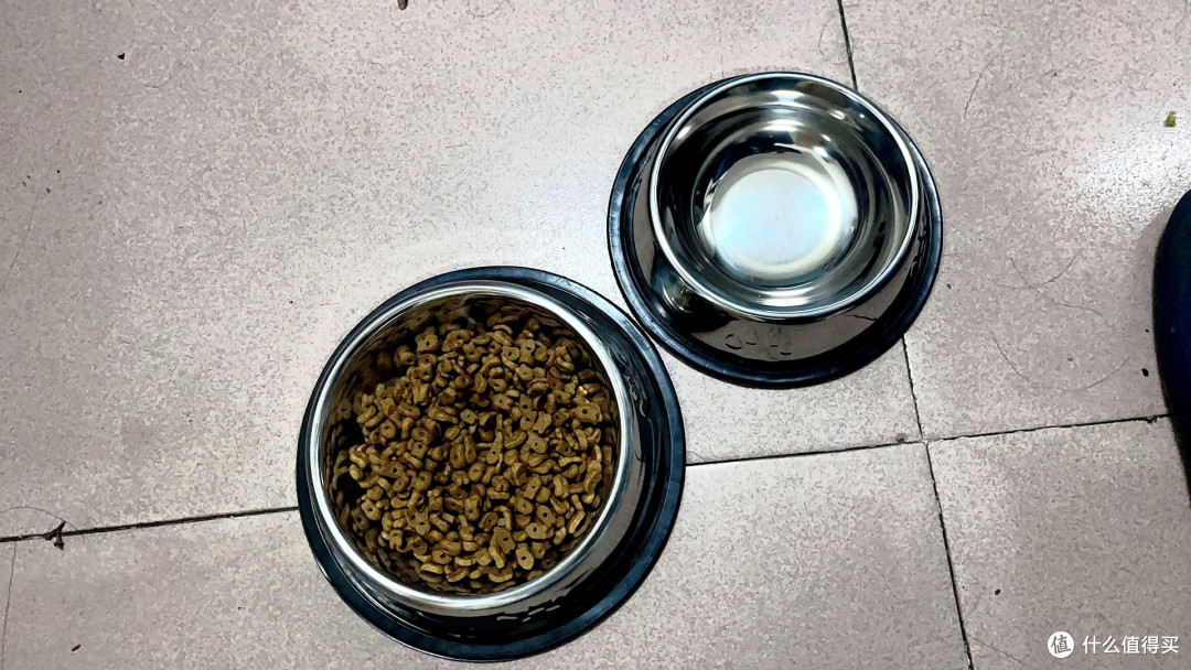 宠物年货备什么，猫粮年货